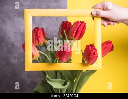 Die Hand einer Frau hält einen gelben Rahmen über Tulpen, die auf einem Ultimate Grey-gelben Hintergrund angeordnet sind. Stockfoto