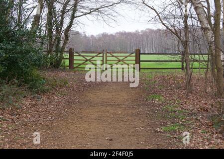 Landszene, die den Weg zum doppelten hölzernen Tor und zeigt Woodland Beyond Stockfoto