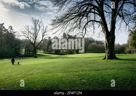 Tylney Park Golf Club Stockfoto