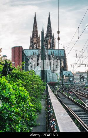 Panoramablick auf den Kölner Dom, Deutschland. Stockfoto