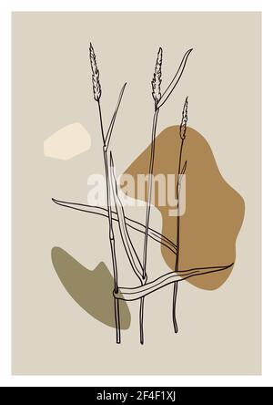 Eleganz minimalistisches zeitgenössisches Poster mit Linienkunstpflanzen und abstrakten Formen in erdfarbener Farbpalette. Stock Vektor