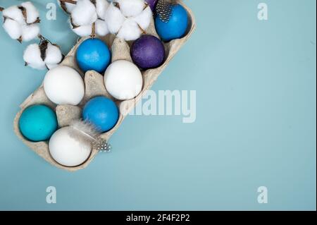 Ostereier in einem Eiertablett mit Baumwollblume auf Blauer Hintergrund Stockfoto