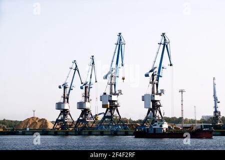 Kraniche am Ufer der Daugava im Hafen von Lettland am 22. September 2020 Stockfoto