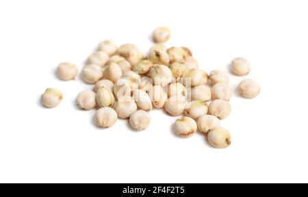 Kommerzielles Sorghum orysoidum oft S. bicolor. Isoliert. Stockfoto