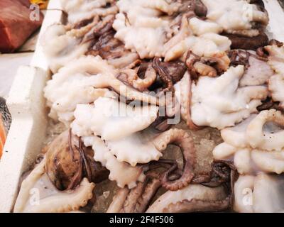 Tintenfisch in offenen seamarket, Napoli Stockfoto