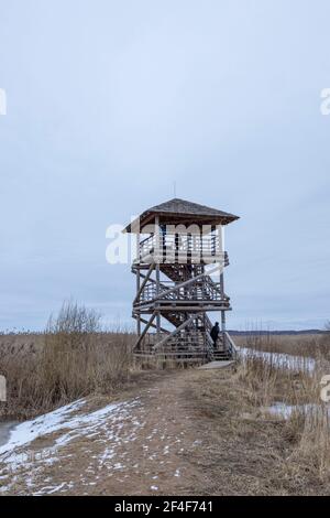 Vogelbeobachtungsturm im Winter, wolkiger Tag Stockfoto