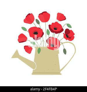 Vektor-Illustration von Bouquet von leuchtend roten Mohnblumen in Gießkanne auf weißem Hintergrund isoliert Stock Vektor