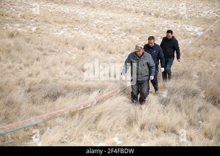 (210321) -- SUNAN, 21. März 2021 (Xinhua) -- Gu Zhengli (vorne) und seine Kollegen sind auf dem Weg zu einer Inspektionstour in der Gemeinde Dahe, Yugu Autonomous County of Sunan, nordwestlich der Provinz Gansu, 20. März 2021. GU Zhengli, 59, arbeitet seit 42 Jahren an der Frontlinie des Wasserschutzprojekts Tanggaer in der Gemeinde Dahe, um die Sicherheit des Trinkwassers für die lokale Bevölkerung und Viehzucht zu gewährleisten. Da die jährliche Niederschlagsmenge in der Stadt nur 150 bis 300 Millimeter beträgt, ist das Wasserschutzprojekt Tanggaer buchstäblich die Lebensader für örtliche Hirten. Jeden Morgen steht Gu auf Stockfoto