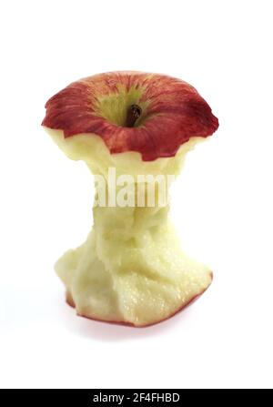 Malus domestica, kultivierter Apfel (Malus domestica), Apfel, Äpfel, Rosenfamilie, ROYAL GALA APFELKERN malus inländisch, kultivierter Apfel, Äpfel, Rose Stockfoto
