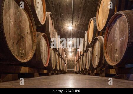 Holzfässer, Bierfässer, Brauerei, Sudhaus, Lambic, kriek, geuze, Oud beersel, beersel, flandern, belgien Stockfoto