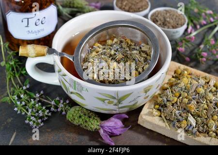 Magentee, Cnicus (Cnicus benedictus), Centaurium pulchellum, Kamille, Kamillenblüten, Thymianblätter, Früchte, Kümmel, Anisfrüchte, Anis Stockfoto