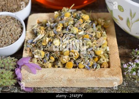 Magentee, Cnicus (Cnicus benedictus), Centaurium pulchellum, Kamille, Kamillenblüten, Thymianblätter, Früchte, Kümmel, Anisfrüchte, Anis Stockfoto