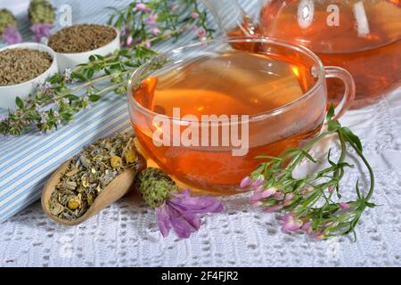 Magentee, Cnicus (Cnicus benedictus), Centaurium pulchellum, Kamille, Kamillenblüten, Thymianblätter, Früchte, Kümmel, Anisfrüchte, Anis Stockfoto