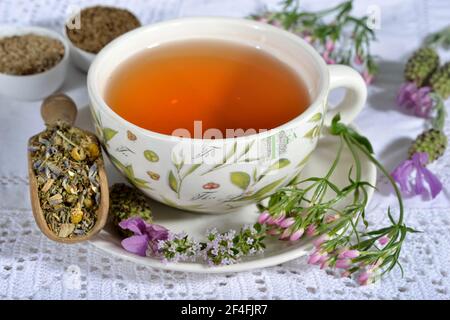 Magentee, Cnicus (Cnicus benedictus), Centaurium pulchellum, Kamille, Kamillenblüten, Thymianblätter, Früchte, Kümmel, Anisfrüchte, Anis Stockfoto