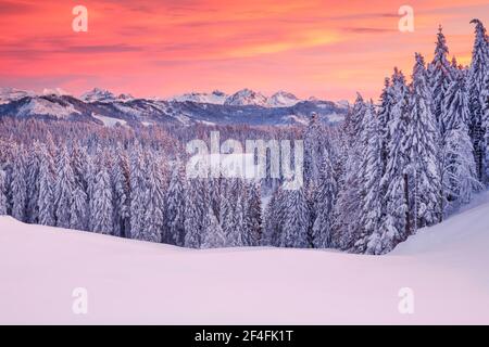 Blick von Gotschalkenberg auf die Zentralschweizerischen Alpen, Schweiz Stockfoto