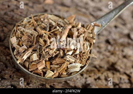 Sarsaparilla-Wurzeln (Radix sarsaparillae) (Sarsaparilla), amerikanische Sarsaparilla, Graue Sarsaparilla, mexikanische Sarsaparilla, Rote Sarsaparilla Stockfoto