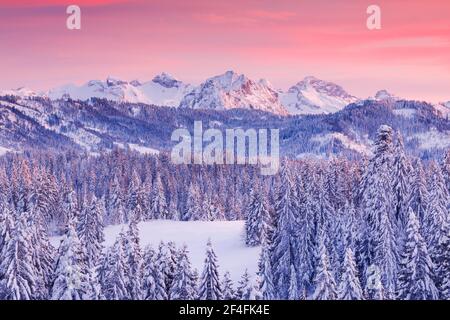 Blick von Gotschalkenberg auf die Zentralschweizerischen Alpen, Schweiz Stockfoto