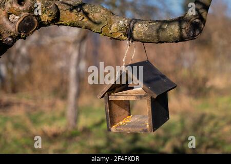Vogelfutterhäuschen aus Holz, das an einem Ast hängt Stockfoto