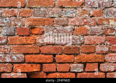 Alte Ziegelmauer, Burgmauer in England, Europa Stockfoto