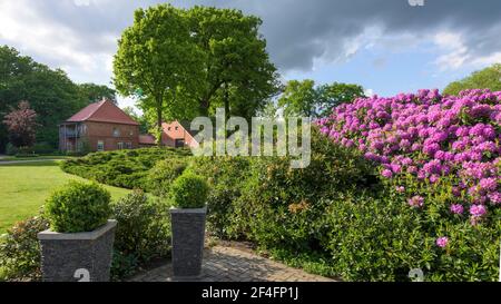 Baeken von Endeler und Holzhauser Heide, Neumühle, Rhododendrons, Visbek, Niedersachsen, Deutschland Stockfoto
