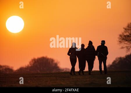 Vier Freunde verbinden die Arme und gehen unter einem untersetzten Sohn In einem Londoner Park Stockfoto