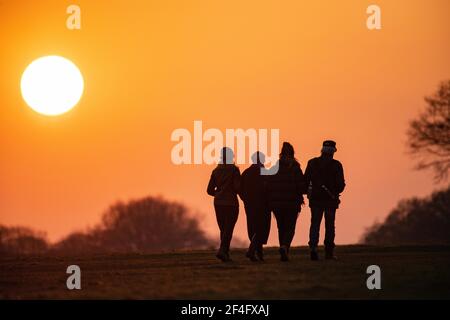 Vier Freunde verbinden die Arme und gehen unter einem untersetzten Sohn In einem Londoner Park Stockfoto