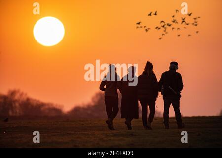 Vier Freunde verbinden die Arme und gehen unter einem untersetzten Sohn In einem Londoner Park Stockfoto