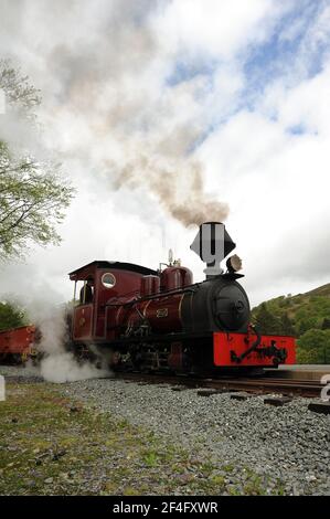 'Fiji' bei Beddgelert. Stockfoto