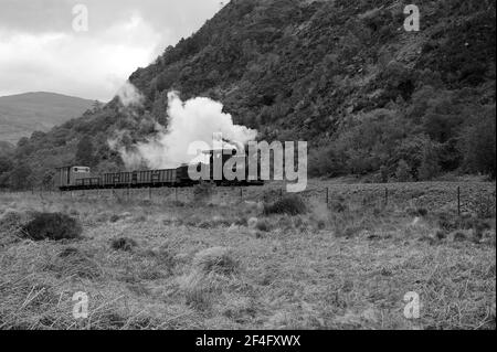 'Fiji' südlich von Bryn y Felin. Stockfoto