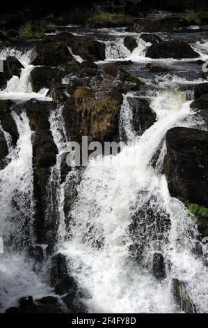 Swallow Falls / Rhaeadr Ewynnol. Stockfoto