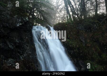 Nördlicher Bach von Gray Mare's Tail / Rhaeadr Y Parc Mawr. Stockfoto