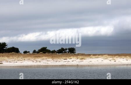 Prerow, Deutschland. März 2021, 16th. Die Zufahrtsstraße zum Nothafen Darßer Ort in der Kernzone des Nationalparks Vorpommersche Boddenlandschaft. Quelle: Bernd Wüstneck/dpa-Zentralbild/ZB/dpa/Alamy Live News Stockfoto