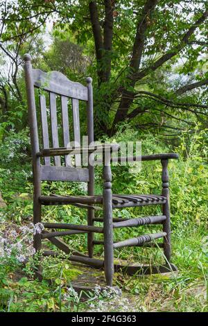 Alter Holzstuhl hoch zurück Schaukelstuhl auf erhöhte Plattform umrandet Von Boltonia asteroides - Falsche Kamille oder Falsche Aster in Garten im Hinterhof Stockfoto