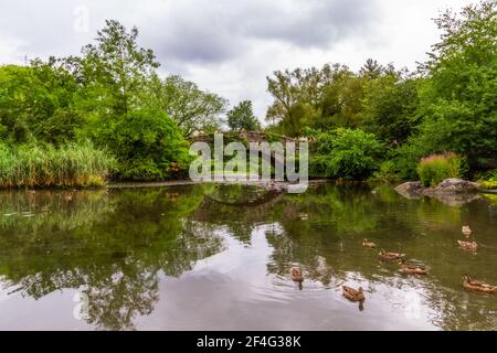 Touristen auf der Gapstow-Brücke und die Enten, die darin schwimmen Der Teich im Central Park Stockfoto