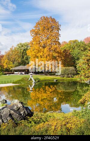 Teich mit Yukimi-gata Laterne auch bekannt als Schneellaterne im japanischen Garten im Herbst, Montreal Botanical Garden, Quebec, Kanada Stockfoto