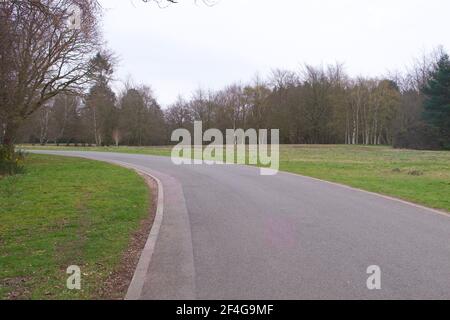 Landstraße führt runde Kurve mit Gras und Bäumen zu Auf beiden Seiten Stockfoto