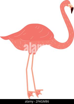 flamingo Vogel von Hand gezeichnet isoliert Stock Vektor