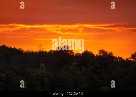 Leuchtender orangefarbener Himmel hinter der Baumgrenze bei Sonnenaufgang Stockfoto