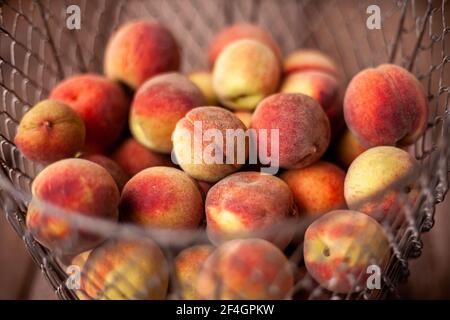 Frische Pfirsiche Früchte in Korb Nahaufnahme. Selektiver Fokus, Draufsicht. Sommerernte der Früchte. Stillleben. Eine Gruppe von reifen Pfirsich. Flaches veganes Essen Stockfoto
