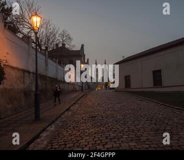 Tschechische Republik, Prag, 23. Februar 2021: Nachtansicht der gepflasterten Straße in Vysehrad mit Laternen und beleuchteten Basilika St. Peter und Paul Stockfoto