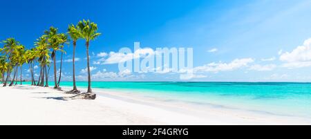 Panorama von weißem Sandstrand mit Kokospalmen in Punta Cana, Dominikanische Republik. Sommerferienkonzept. Tropischer Strand Hintergrund. Stockfoto