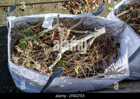 Große weiße Taschen mit Bio-grünen Gartenabfall. Gemeinden sammeln grünen Abfall, um ihn zu grüner Energie und Kompost zu verarbeiten. Draufsicht Stockfoto