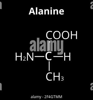 Alanin ist eine Aminosäure. Chemische molekulare Formel Alanin Aminosäure. Vektorgrafik auf isoliertem Hintergrund Stock Vektor