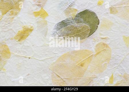 Gestreifte Blumen auf Mulberry Papier Textur Hintergrund Stockfoto