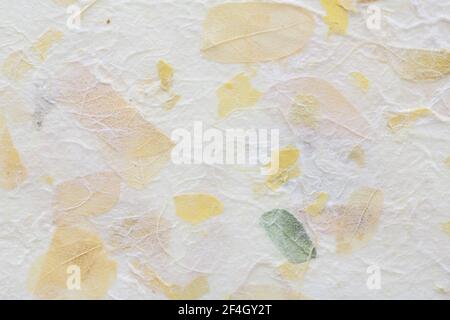 Gestreifte Blumen auf Mulberry Papier Textur Hintergrund Stockfoto