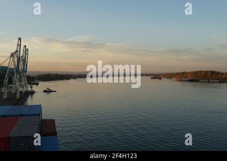 Blick auf Portalkrane warten auf Frachtbetrieb in vertikaler Position in Container-Terminal am Columbia River von Bäumen und Sträuchern umgeben. Stockfoto