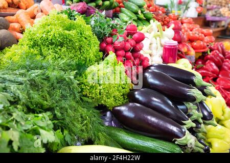 Dunkelviolett schwarze Auberginen gegen saftigen Salat, Dill, Petersilie, rote Radieschen, Paprika und Gurken in Unschärfe auf der Markttheke zum Verkauf. Stockfoto