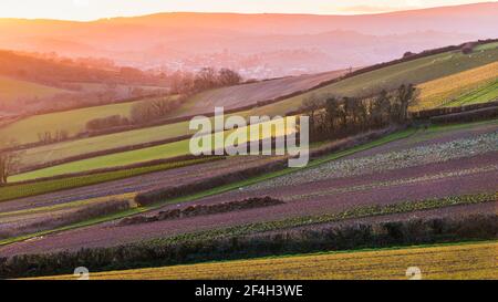 SONNENUNTERGANG über den Feldern, Shaldon, Devon, England Stockfoto