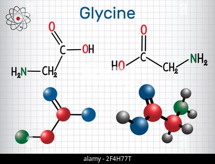 Glycin Gly oder G , ist die Aminosäure. Strukturelle chemische Formel und Molekülmodell. Blatt Papier in einem Käfig Stock Vektor