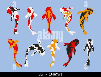 Set Koi Karpfen. Koi japanischer Fisch. Stock Vektor